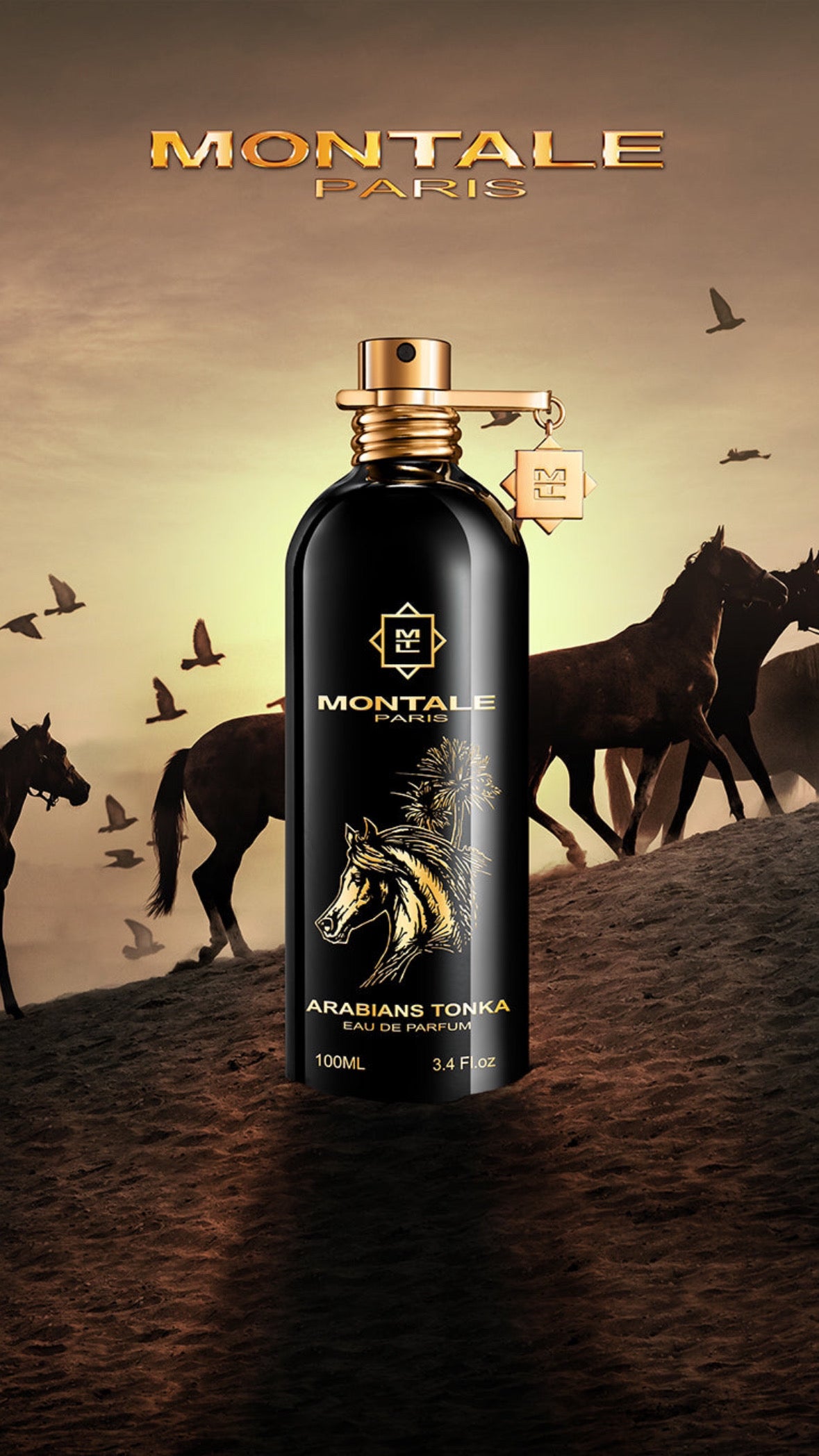 Arabians Tonka - Montale